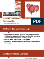 Divertikulum Vesica Urinaria