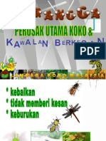 Teknologi Kawalan Serangga Perosak (Kertas 6 II) en - Asrul