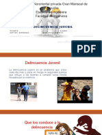 Diapositivas Delincuencia J