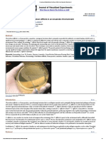 Culturing and Maintaining Clostridium Difficile in An Anaerobic Environment
