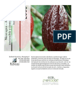 40900194-Agrocadena-Cacao-Nicaragua-2008.pdf