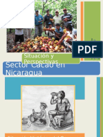 7 Oportunidades Mercado Exportar Cacao Colombiano-A Ramos Proexport