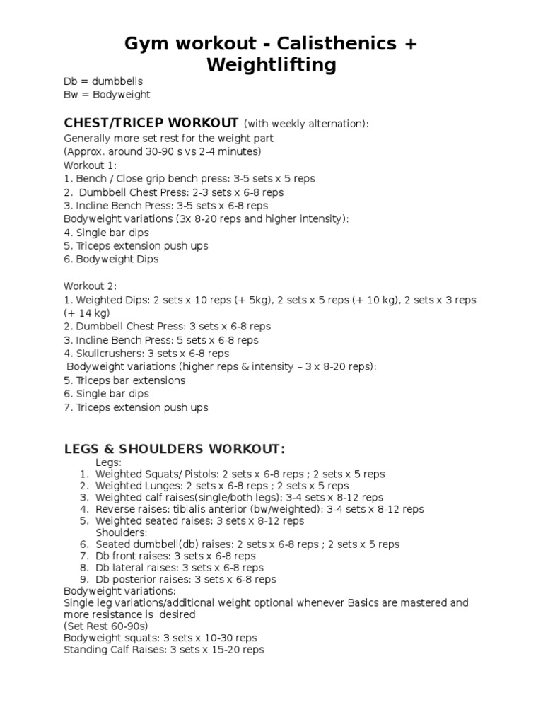 Gym Workout Calisthenics + Weightlifting PDF Weight Training