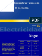 Curso biodigestores.pdf