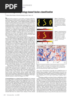 Seismic Geomorphology-Based Facies Classification: Interpreter'S Corner