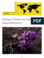 Using A Flower To Combat Desertification: Basic Case Info