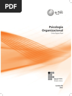 Psicologia Organizacional