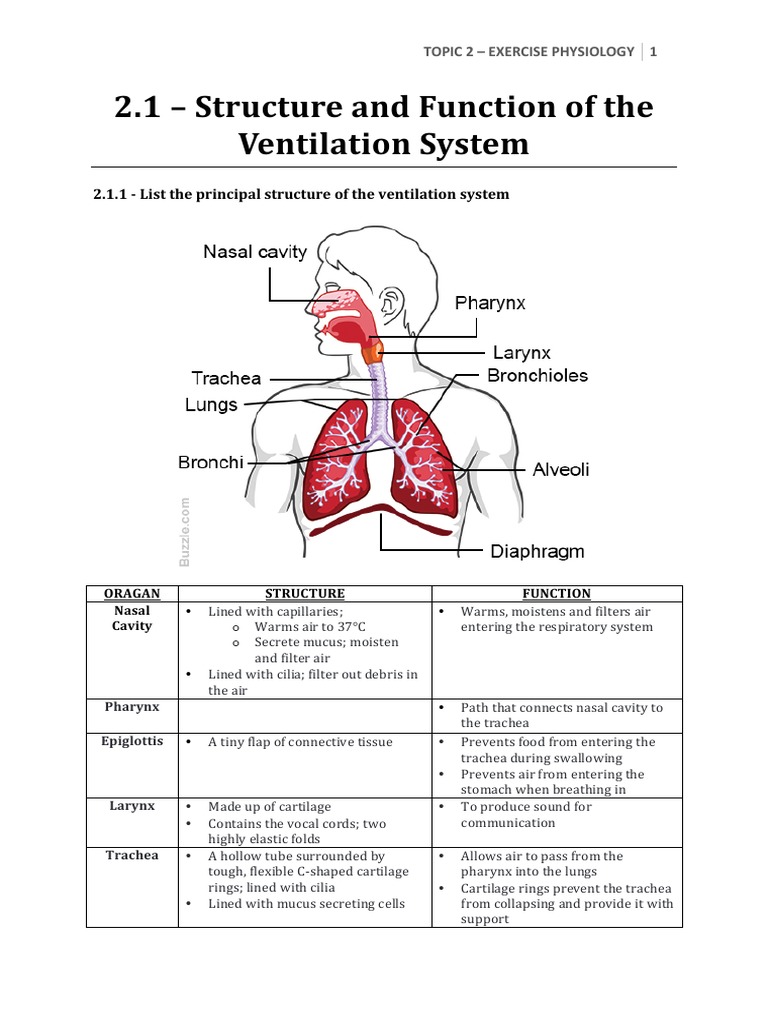 2 1 E28093 Structure and Function of The Ventilation System PDF