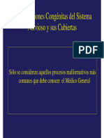 Malformaciones sistema nerviosos.pdf