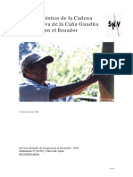 diagnostico_guadua_snv_0904.pdf