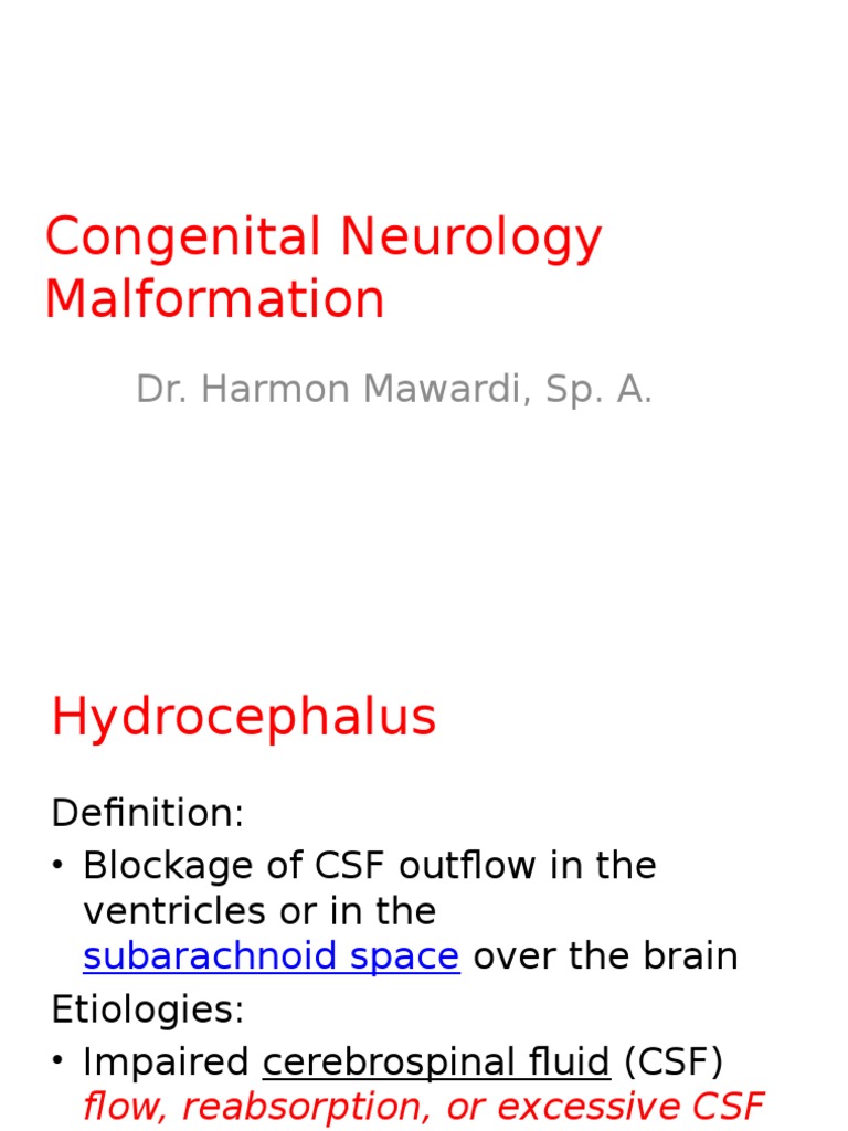 Hydrocephalus and Spina Bifida Overview | PDF | Cerebrospinal Fluid ...