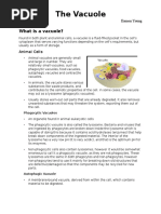 The Vacuole: What Is A Vacuole?