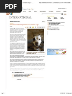 Venezuela Prohibits Pit Bull Ownership after 2014