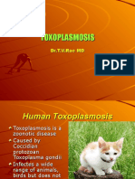 Toxoplasmosis: Zoonotic Disease Caused by Protozoan Parasite T. gondii