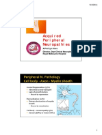 Acquired Peripheral Neuropathies Guide