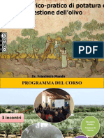 Potatura Ulivo Presentazione-2015 - 2