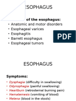 Esophagus Diseases and Symptoms