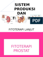 Fitoterapi Herbal Reproduksi Dan Urinari