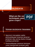 6. Teknik Budidaya