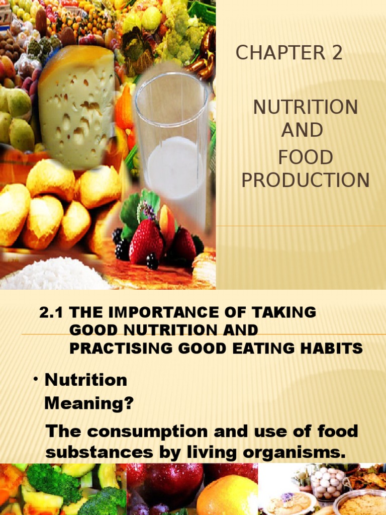 Nutrition Basics and Energy Calculation | PDF