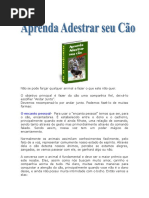 Adestramento de Cães