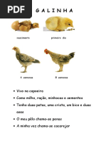 Livro Dos Animais