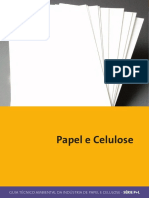 p+l_papel_e_celulose.pdf