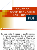 Comite de Seguridad y Salud