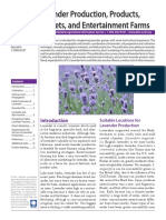 lavender.pdf