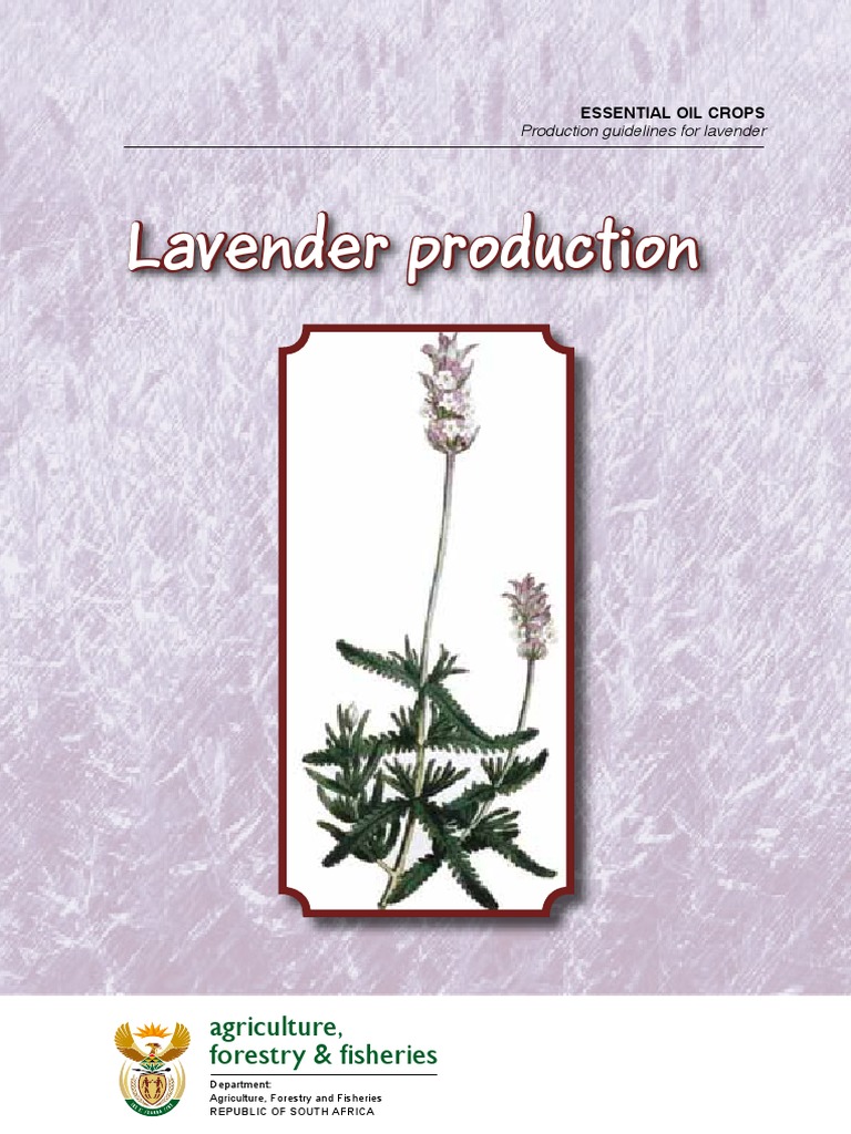 Essoilslavender Pdf Lavandula Soil