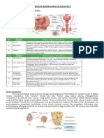 Sistem Reproduksi Manusia