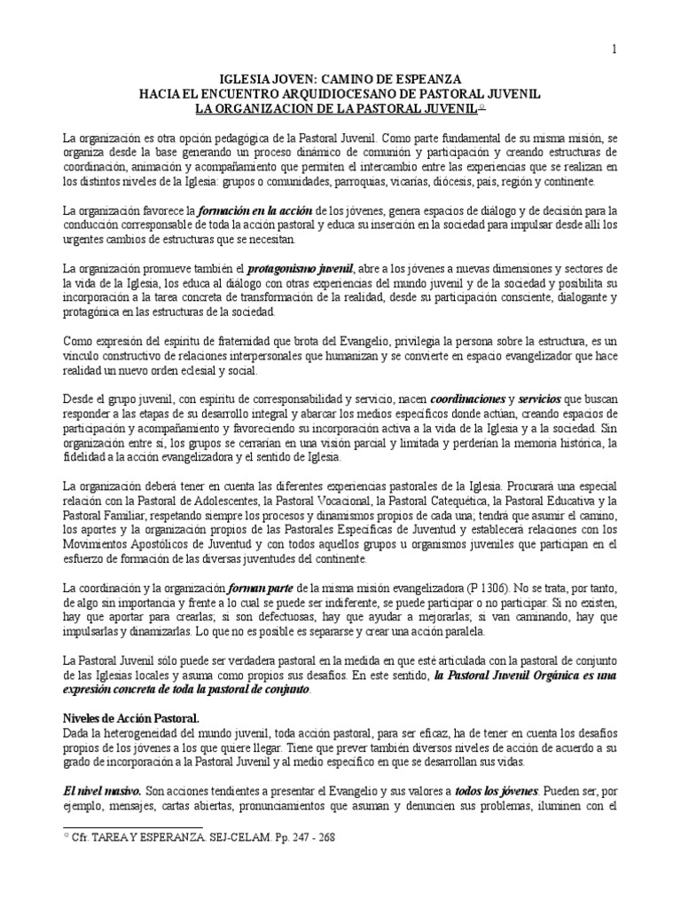 Organización de la Pastoral Juvenil 2025 | PDF | Juventud | Comisión ...