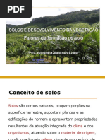 Fatores Formação de Solos