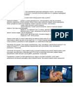 Prezentare Grupa PDF