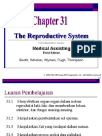 7 Reproductive System