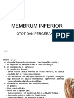 Membrum Inferior Draft Blok2 PSPD 2014