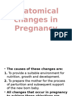 Anatomy Changes During Pregnancy