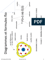 Diagramme Floraux