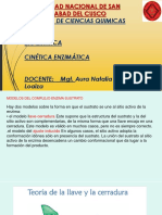 DIAPOSITIVAS CINETIC ENZ-ELY ULTIMO.pdf