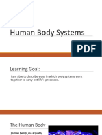 human body systems pptx