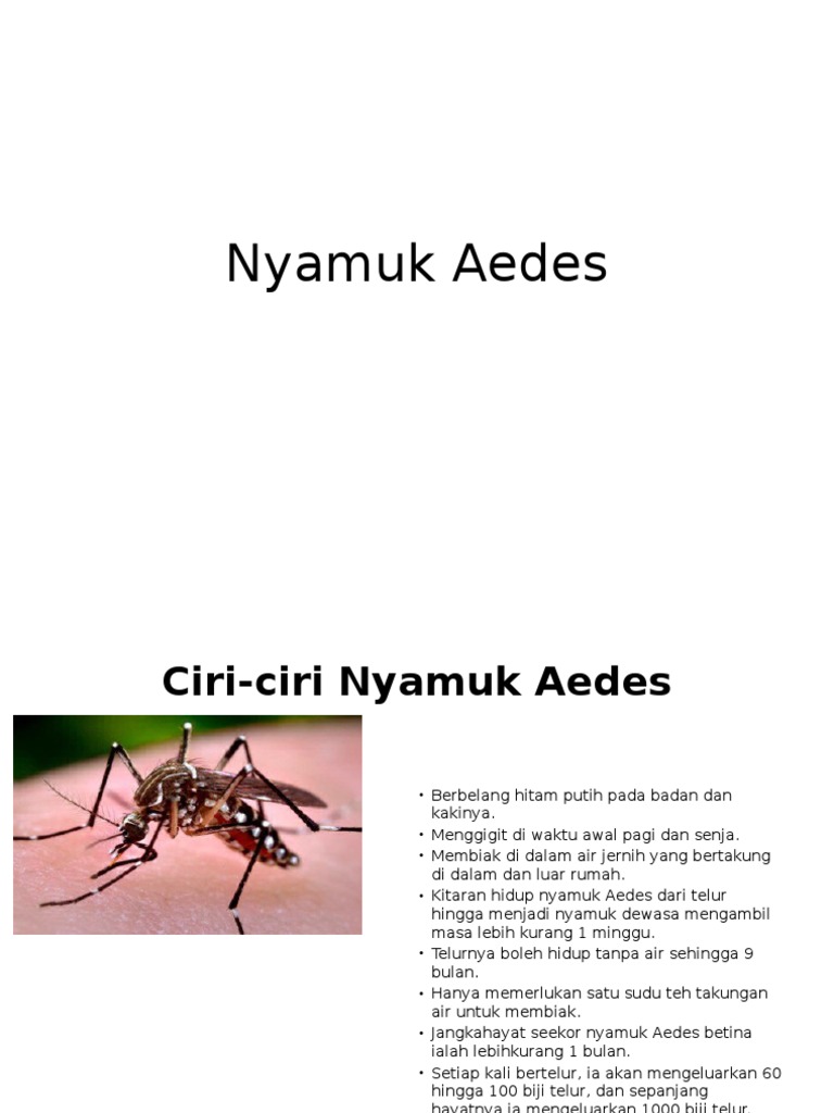 Nyamuk Aedes Pdf