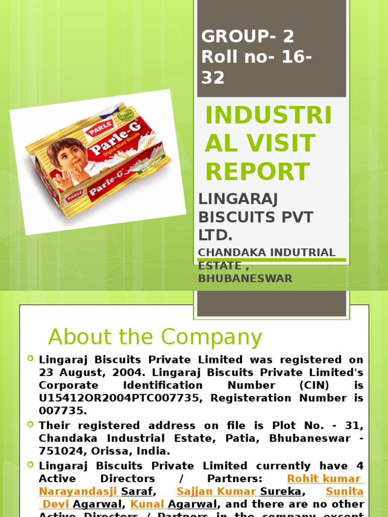 Biscuit business plan pdf picture