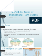 bio07 the cellular basis of inheritance openstax life cycles