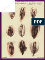 Guía Profesionales de La Salud Sexual Femenina PDF