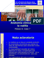 Anatomia Clinica Rodilla