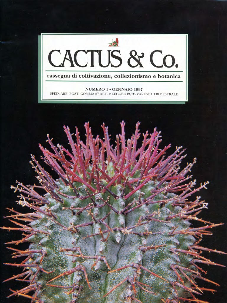 Cactus | PDF