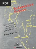 Bruno Fornillo - Sudamerica Futuro