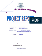  Project Report Job Satisfaction