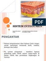 XII-INTEGUMEN.ppt