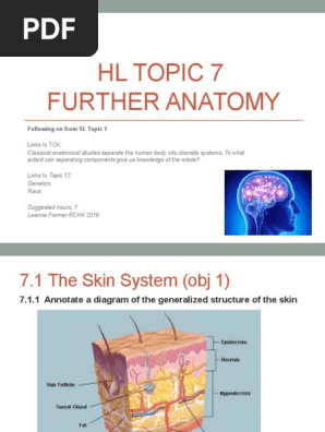Topic 7 Further Anatomy Skin Cerebrum